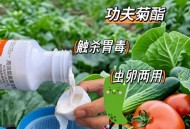 员工给蔬菜喷杀虫剂,杀虫气雾剂喷蔬菜会死吗？