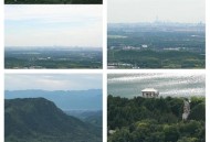 公园树上现2米长巨蟒,昌平蟒山有蟒蛇吗？