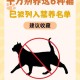 十五五规划建议发布,保护动物建议15条？