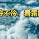 今年冬天将更冷,今年冬天会更冷吗？