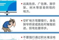 深圳防台有多拼,深圳防御台风措施
