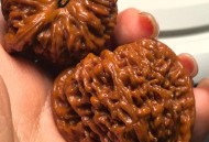 盘4年的核桃是塑料,盘塑料核桃会变色吗？