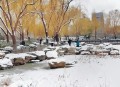 北京明天迎初雪,北京明天迎初雪图片