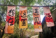 院子凭干净成打卡点,去有风小院的文案? 院子凭干净成打卡点,去有风小院的文案?