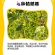 阳光玫瑰变阳光没贵,云南阳光玫瑰和四川阳光玫瑰区别？