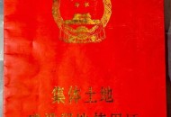 城镇居民禁农村买房,城市居民能去农村买房吗？