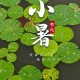 今日小暑,今天是小暑第几天？