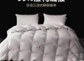 鸭绒涨价鹅绒跌20%,鸭绒涨价了吗
