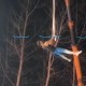 游客从40米高空坠落,游客从40米高空坠落死亡