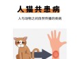 买猫被传染满脸猫藓,猫咪长了猫藓怎么办？人被传染怎么办？