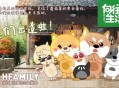 向往的生活彩灯去世,向往的生活彩灯怎么不见了？