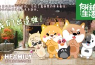 向往的生活彩灯去世,向往的生活彩灯怎么不见了？