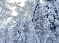 黑龙江漠河又下雪了,漠河10月份下雪吗？
