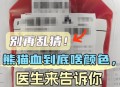 22年来首现小p血型,小p血型是什么血型