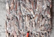 印度水产便宜30%,印度水产品