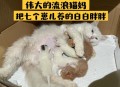离婚被判吃掉鸡再离,断奶可以吃鸡肉吗？