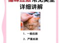 原来猫咪也是敏感肌,养猫咪新手入门必知猫的敏感点？