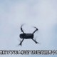无人机高空相撞坠落,无人机出故障从空中掉下来怎么办？