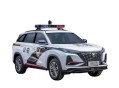 法院警车公车私用,警车公车私用界定标准？