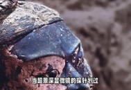 兵马俑上现工匠指纹,2200年兵马俑嘴上指纹谁发现的？