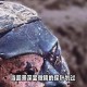 兵马俑上现工匠指纹,2200年兵马俑嘴上指纹谁发现的？