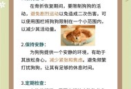 狗狗咬断炸弹引线,狗狗咬断的电线如何补救
