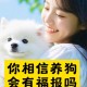 狗狗跋涉50公里报恩,养狗狗也有报恩抱怨的，你家狗狗跟你是怎样的因缘呢？