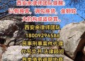法院内劫走6名囚犯,法院认定诈骗罪成立后罪犯无力偿还法院会怎么办？
