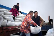 河南货车货物遭哄抢,河南货车货物遭哄抢视频