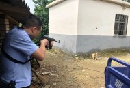 打死人嫌犯挑衅民警,男子驾车袭警并挑衅“你开枪啊”，民警果断开枪制服，怎么回事？