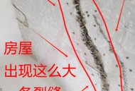 425米最高住宅开裂,水泥425和325的哪个容易开裂吗？