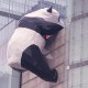 商场现诡异人头雕像,上海哪个商场有熊猫雕塑？
