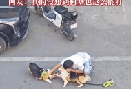 牵绳遛狗时被殴打,牵绳遛狗时被殴打怎么处理 牵绳遛狗时被殴打,牵绳遛狗时被殴打怎么处理