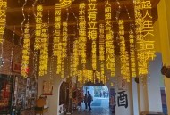 向往的生活彩灯去世,向往的生活彩灯去哪里了？