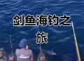 剑鱼或今晚登陆海南,“剑鱼”持续影响海南，三亚停止涉海涉水涉山旅游娱乐活动, 你怎么看？