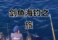 剑鱼或今晚登陆海南,“剑鱼”持续影响海南，三亚停止涉海涉水涉山旅游娱乐活动, 你怎么看？