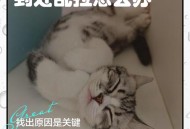 猫在超市米中排泄,野猫在同一个地方排泄，怎么办？
