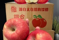 淄博苹果哥火了,山东淄博苹果