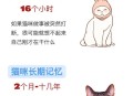 猫也会得痴呆症,猫也会得痴呆症吗