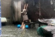 菲律宾全国灾难状态 ,菲律宾自然灾害产生的原因？