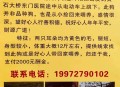 狗身挂几百元求收养,狗子求收养