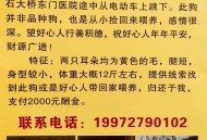 狗身挂几百元求收养,狗子求收养