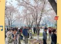 毛孩子成新流量密码,流量什么是初始密码？
