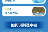 泳池溺亡30分无人救,游泳池溺水有多少概率？