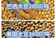 没买过美国一粒大豆,没买过美国一粒大豆能买吗