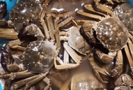 浙大食堂螃蟹8.8元,浙大食堂螃蟹8.8元一只