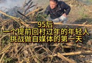 年轻人回村到底行不,年轻人回村到底行不行呀