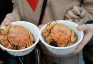 浙大食堂螃蟹8.8元 ,浙大食堂螃蟹8.8元一只