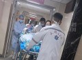 一女童被大型犬咬伤,狗咬伤小女孩后被女孩父母打死