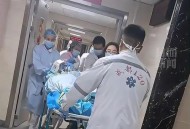 一女童被大型犬咬伤,狗咬伤小女孩后被女孩父母打死